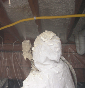 Brandon  crawl space insulation